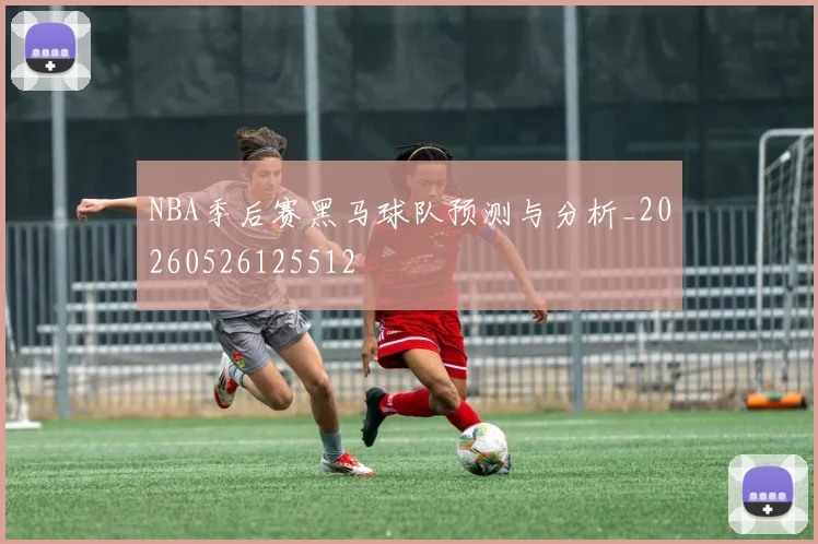 NBA季后赛黑马球队预测与分析_20260526125512